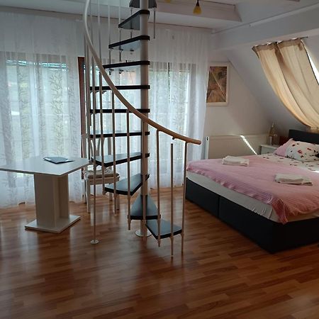 Апартаменты Pension Donaublick Grein 2 In Stifterstrasse19. Экстерьер фото
